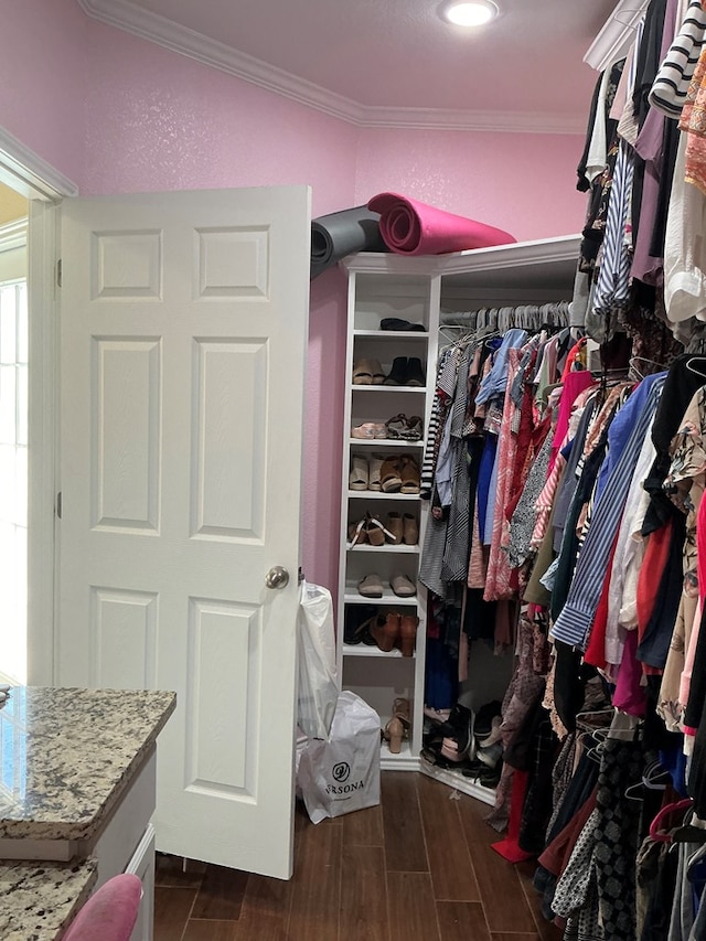 walk in closet featuring dark hardwood / wood-style floors