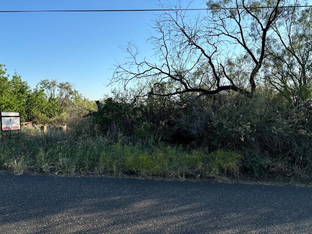 TBD Front, Colorado City TX, 79512 land for sale