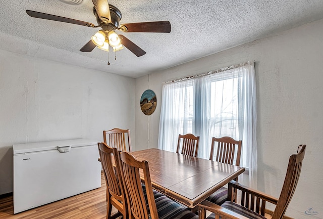 dining area with ceiling fan, light hardwood / wood-style flooring, and a textured ceiling