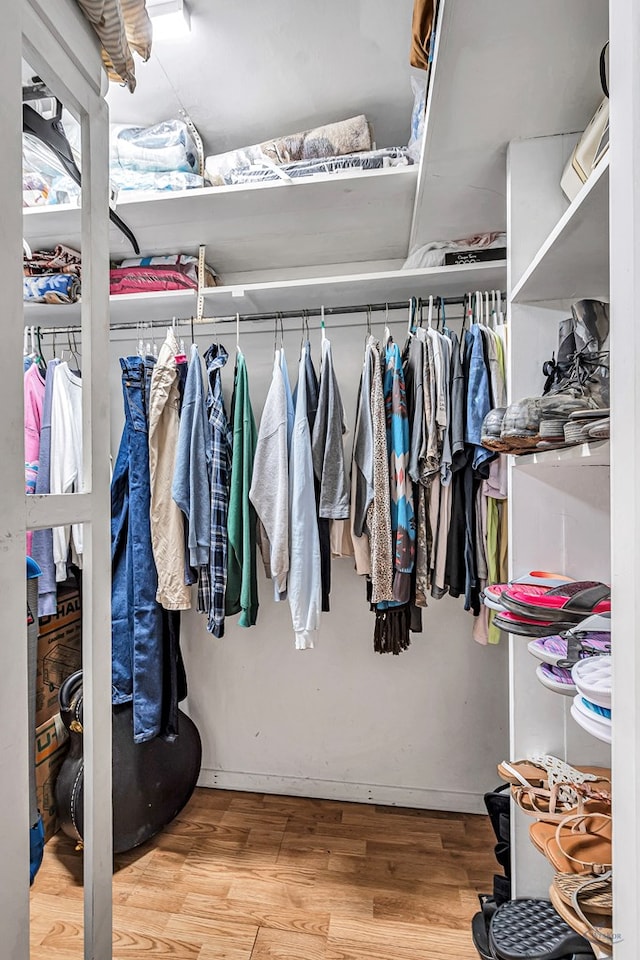 spacious closet featuring light wood-type flooring