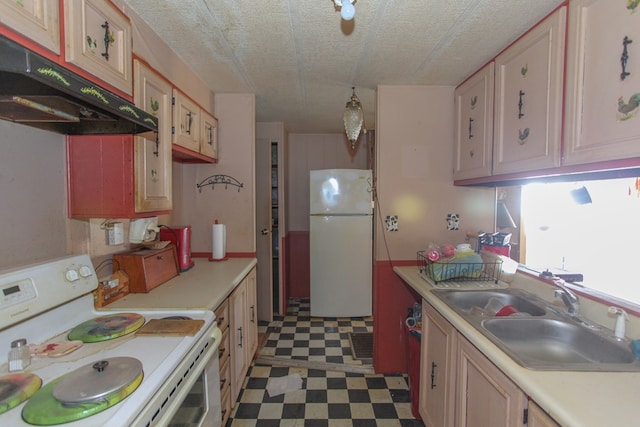 kitchen with dark floors, under cabinet range hood, white appliances, a sink, and light countertops