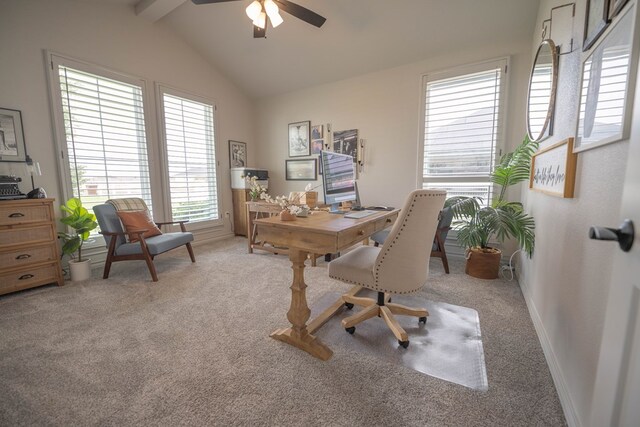 4408 Roadrunner Trl, Midland, TX 79707 - photo 41