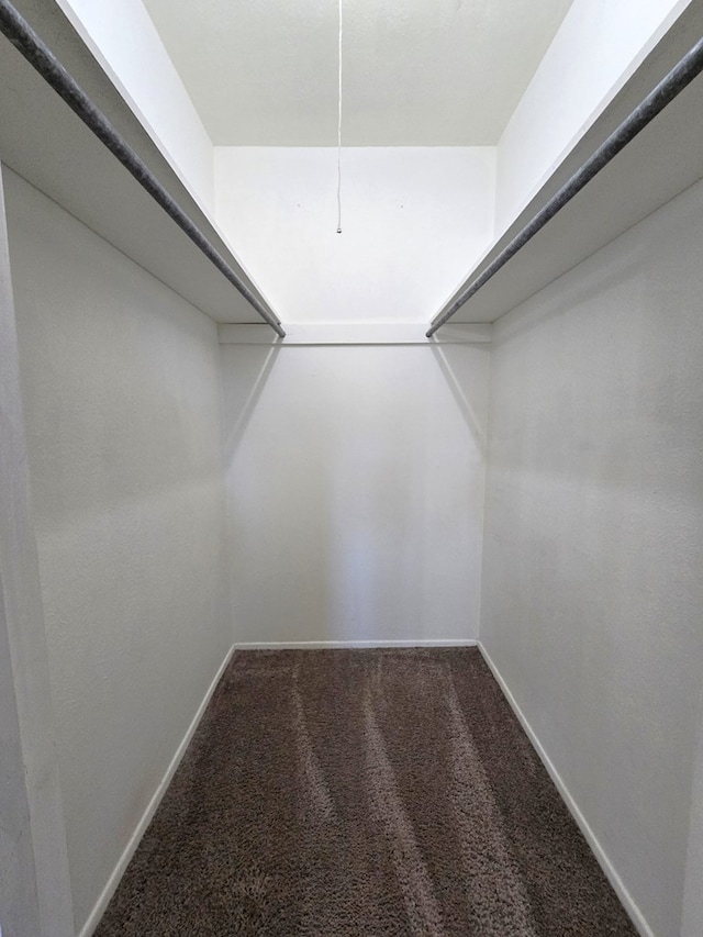 walk in closet featuring carpet floors