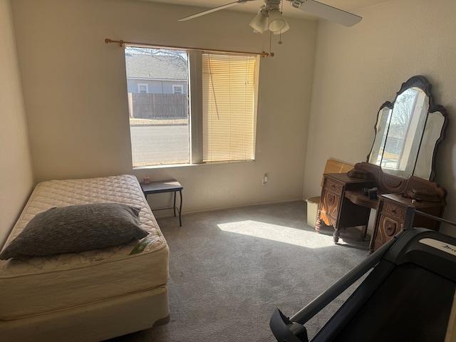 901 N D St, Midland, TX 79701 - living area with carpet and a ceiling fan