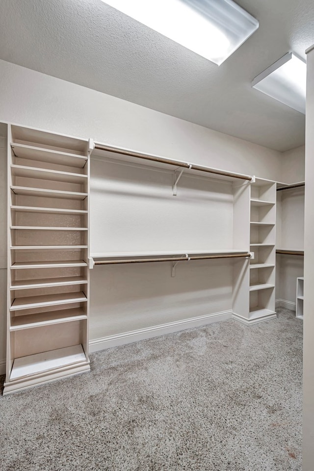 spacious closet featuring carpet floors