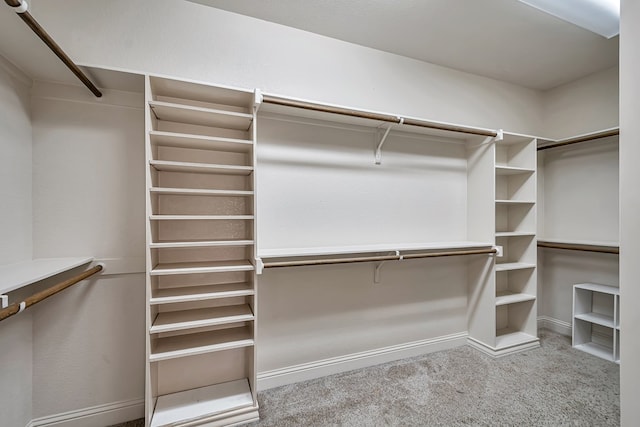 spacious closet with carpet