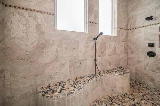 interior details with tiled shower