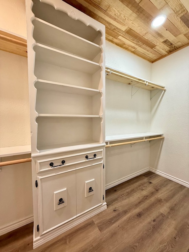 spacious closet with wood-type flooring