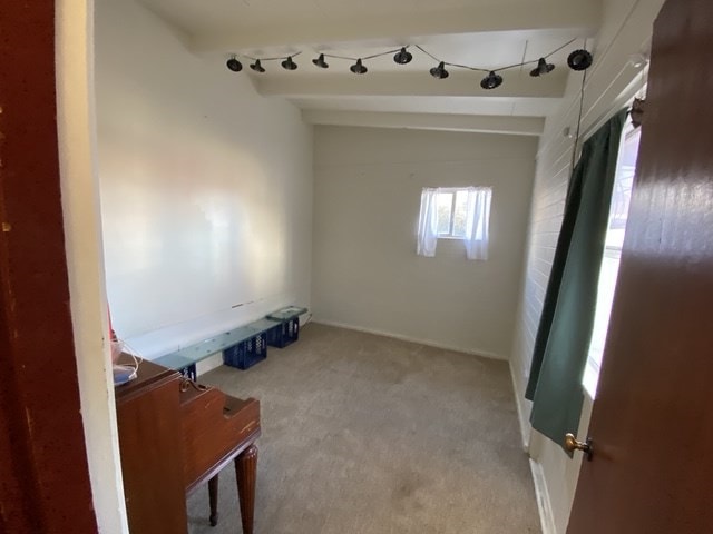 carpeted empty room featuring rail lighting and vaulted ceiling