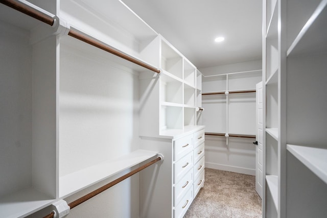 spacious closet featuring light colored carpet