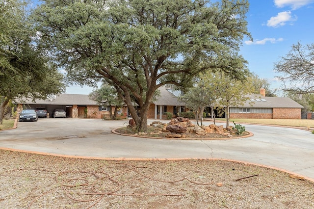 single story home featuring brick siding and curved driveway