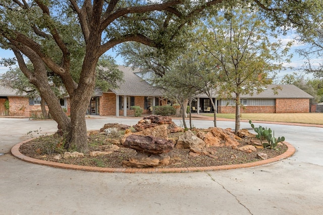 view of front of home with brick siding, curved driveway, and a shingled roof