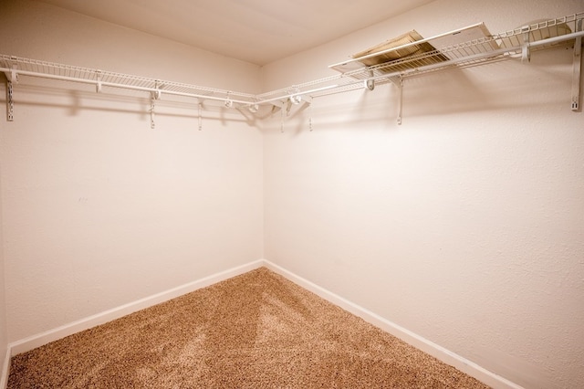 3114 Thomas Ave, Midland, TX 79701 - walk in closet with carpet