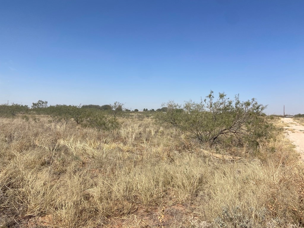LOT9E County Rd 149, Midland, TX 79709 - photo 3
