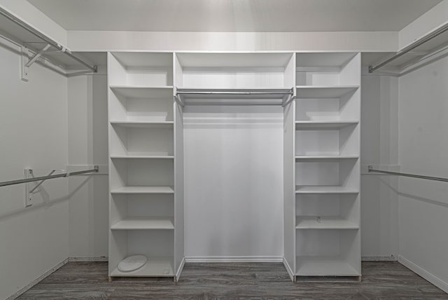 walk in closet featuring wood finished floors