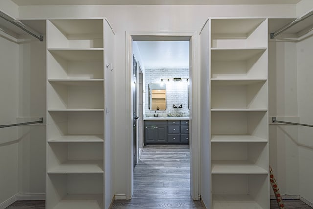 walk in closet featuring a sink and dark wood-style flooring