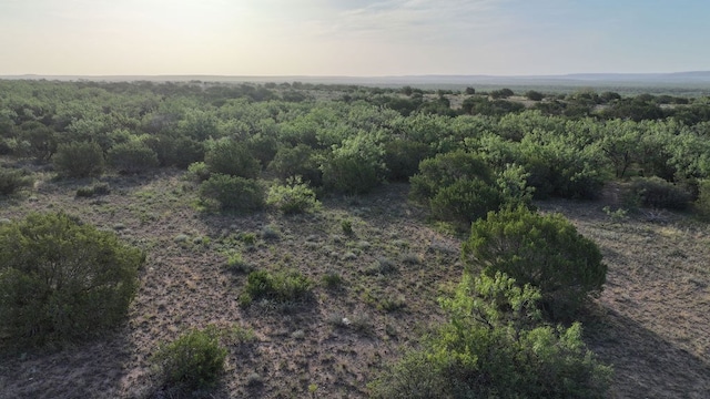 view of aerial view at dusk