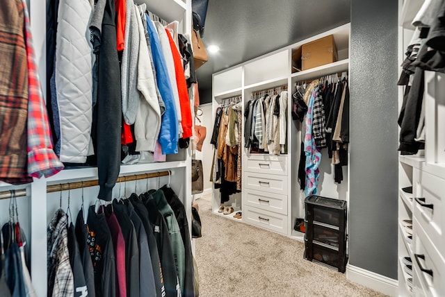 walk in closet featuring carpet flooring