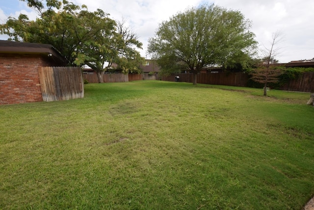 view of yard