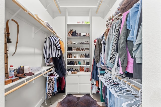 view of walk in closet