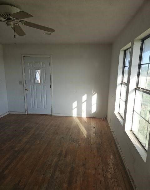 entryway featuring dark hardwood / wood-style floors, a healthy amount of sunlight, and ceiling fan