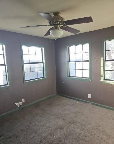 unfurnished room with ceiling fan and carpet