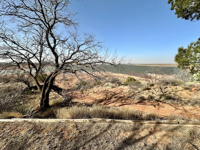 view of local wilderness