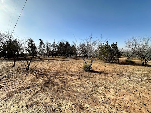 view of yard featuring a rural view