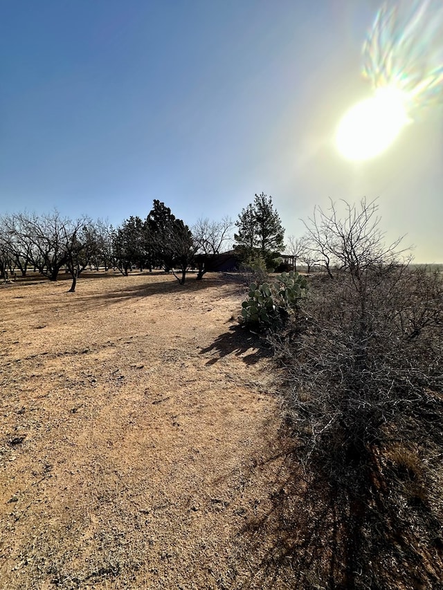 view of landscape featuring a rural view