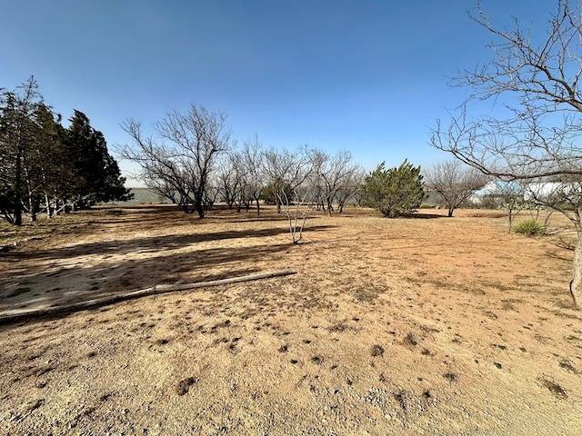 view of yard with a rural view