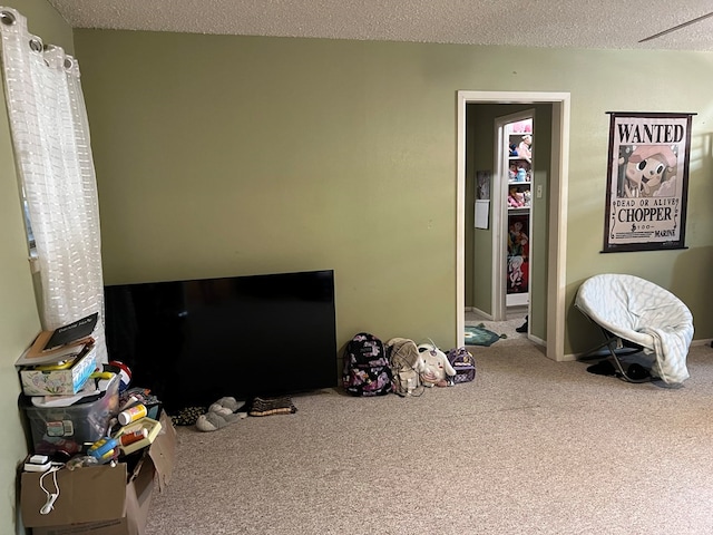 interior space featuring a textured ceiling and carpet floors