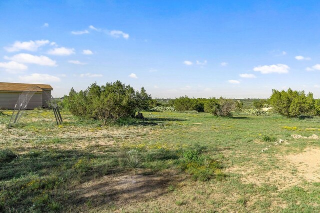 view of local wilderness with a rural view