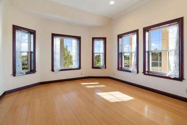 spare room featuring ornamental molding, a healthy amount of sunlight, and light hardwood / wood-style floors