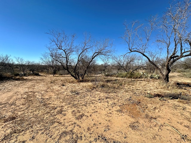 view of landscape with a rural view