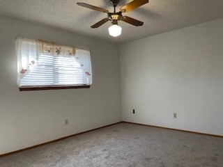 spare room with ceiling fan and carpet flooring