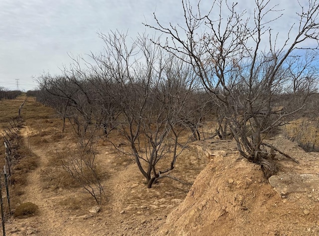 0000 Fm 1609, Snyder, TX 79549 - photo 4