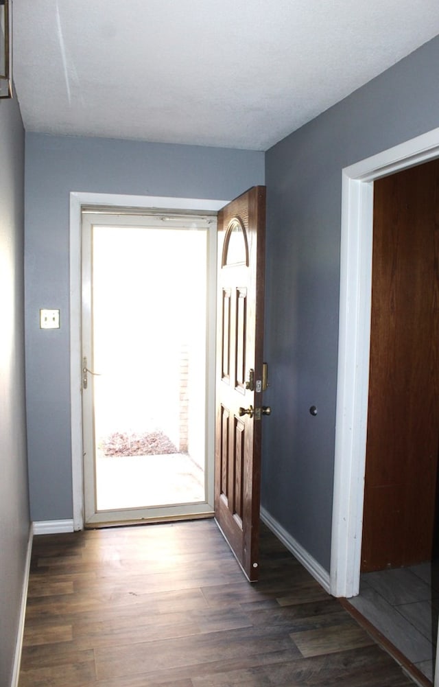 doorway with dark wood-type flooring