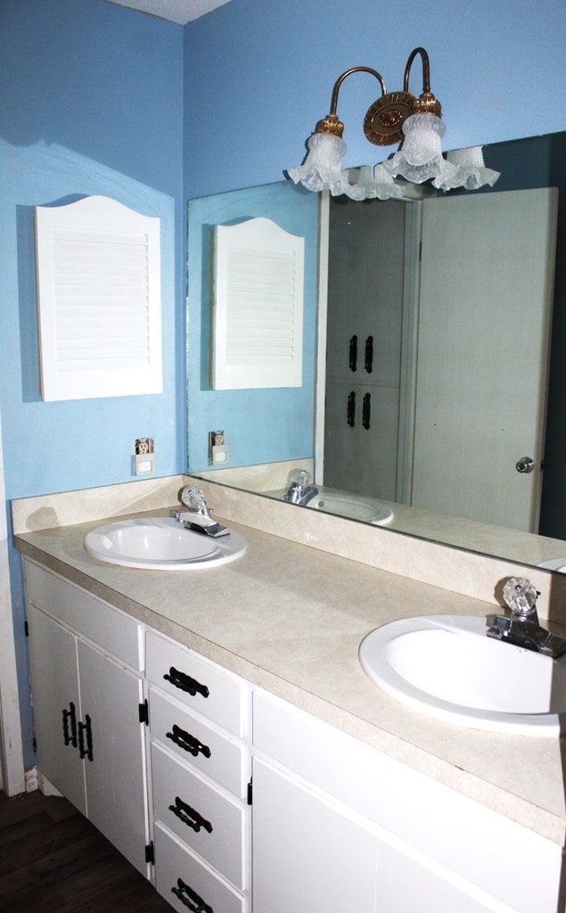 bathroom featuring vanity and wood-type flooring