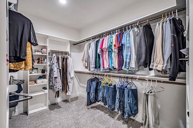 walk in closet with carpet