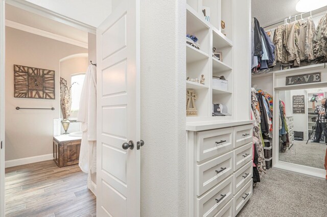 spacious closet featuring light wood finished floors