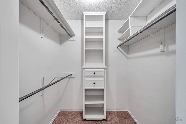 spacious closet with carpet flooring