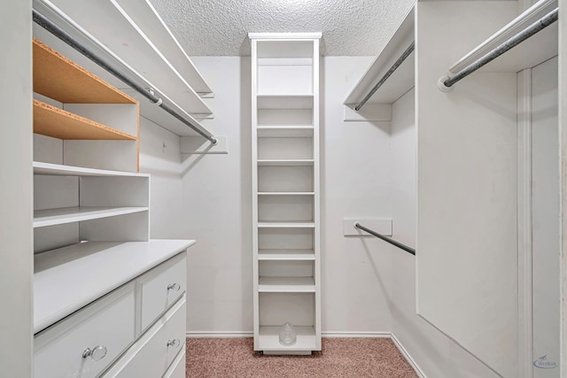 walk in closet with light colored carpet