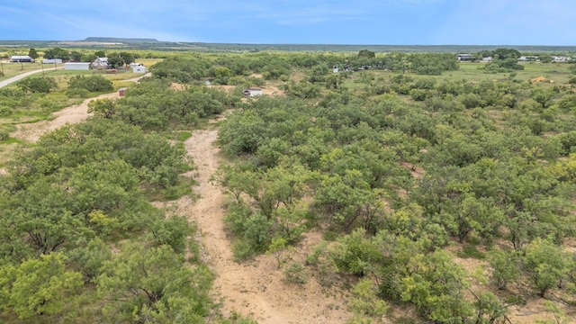 TBD Fm 2131, Coleman, TX 76834 - photo 7