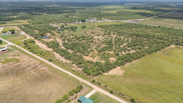 TBD Fm 2131, Coleman, TX 76834 - photo 4