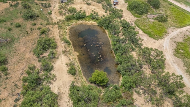 TBD Fm 2131, Coleman, TX 76834 - photo 2