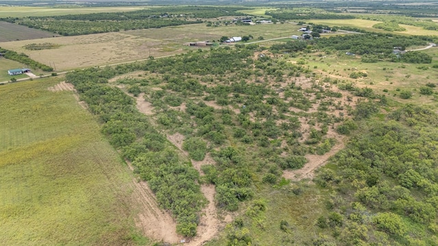 TBD Fm 2131, Coleman, TX 76834 - photo 3