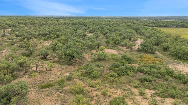 TBD Fm 2131, Coleman, TX 76834 - photo 8