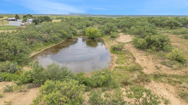 TBD Fm 2131, Coleman, TX 76834 - photo 1