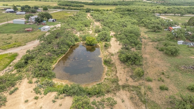 TBD Fm 2131, Coleman, TX 76834 - photo 9