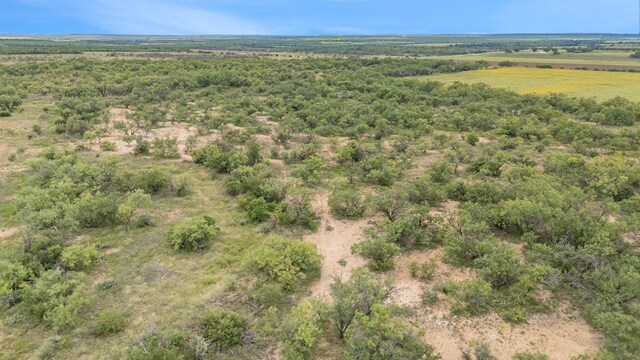 TBD Fm 2131, Coleman, TX 76834 - photo 10
